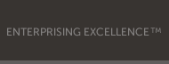ENTERPRISING EXCELLENCE TM